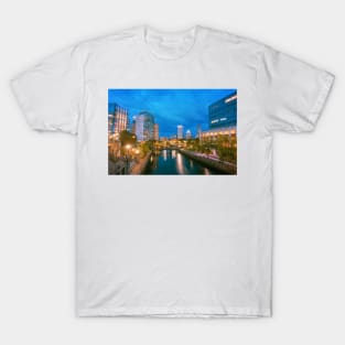 Waterplace Park T-Shirt